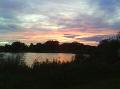 DSC00033.JPG