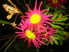 153-5301_IMG.JPG